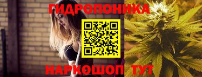 молекула духа Краснокаменск